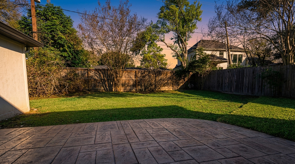 Backyard tree removal and land clearing project